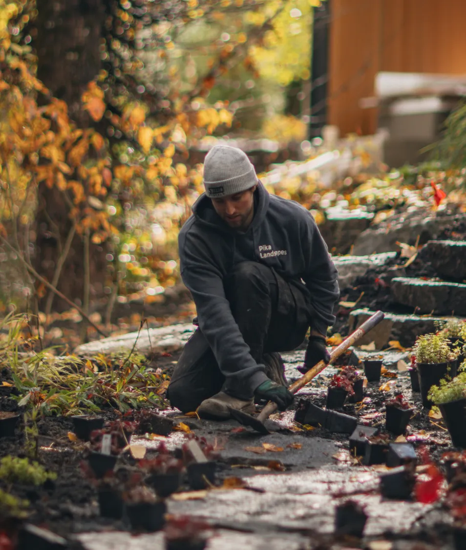 Planting a new garden