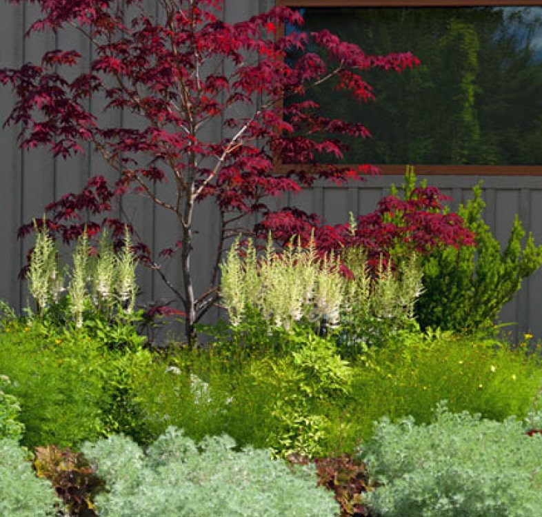 Landscaping project by Pika Landscapes in Whistler BC