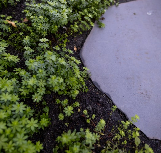 Landscaping project by Pika Landscapes in Whistler BC