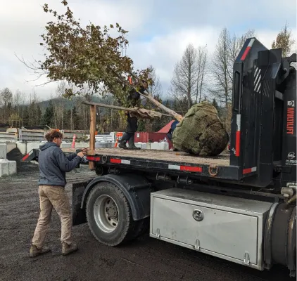 Pika Landscapes Career Image