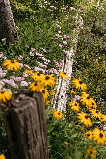 Pika Landscapes Service Image