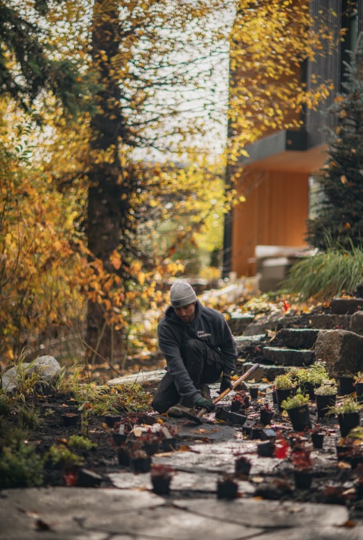 Gardener planting flower bed dusk