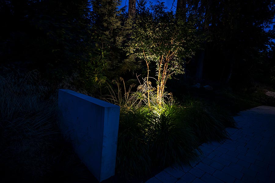 Landscape lighting uplit boulder shrub